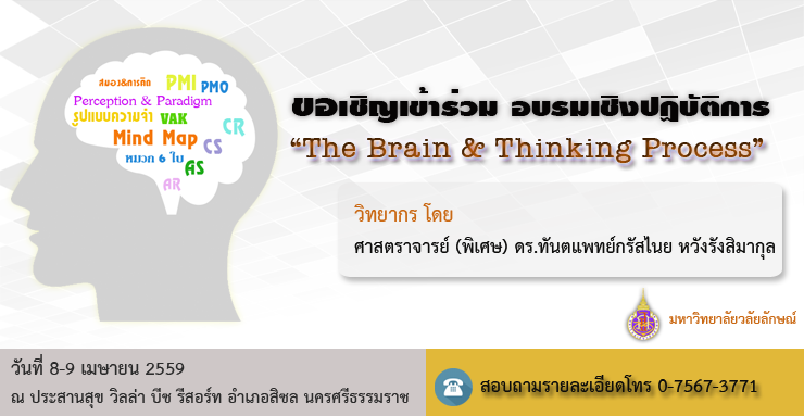 ขอเชิญเข้าร่วม โครงการอบรมเชิงปฏิบัติการ “The Brain & Thinking Process” 